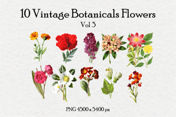 10 Antique Vintage Flowers Vol 3