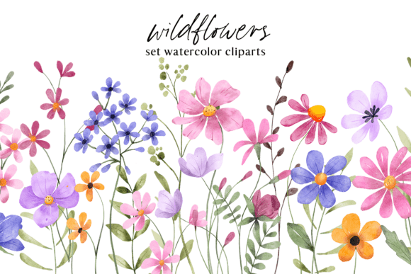 Floral Watercolor Set for Designers and Creatives