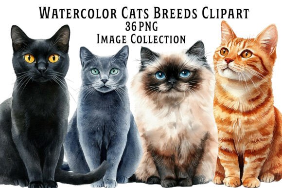 Watercolor Cat Breeds Clipart